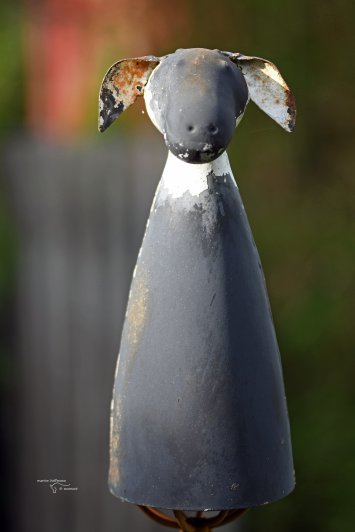 Das Schwarzes Schaf WZ